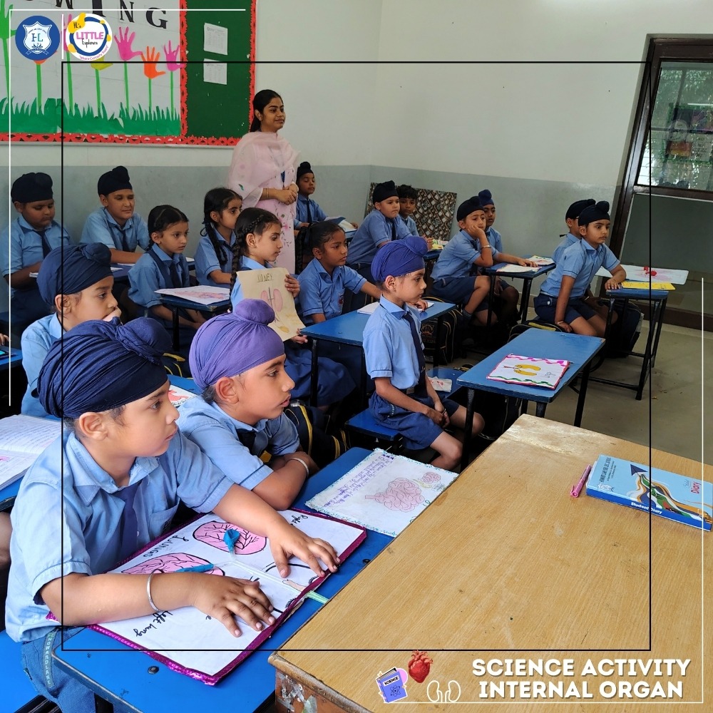 Students observing presentation