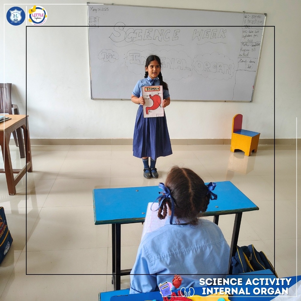 Learning with 3D models