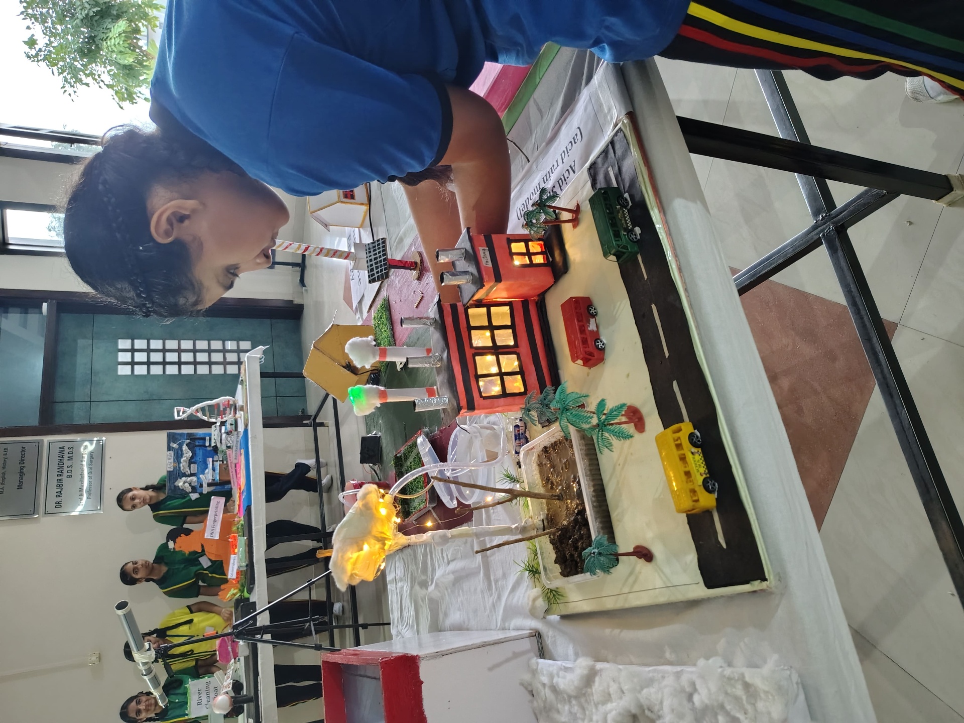 Acid rain working model at the science fair